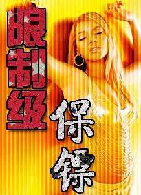 限制级保镖