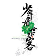 少年丞相世外客中下册