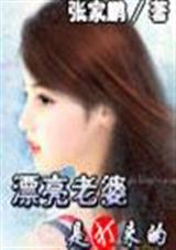 漂亮老婆是打来的