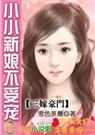 三嫁豪门小小老婆不受宠