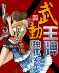 武动王牌