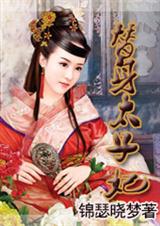 冷宫欢替身太子妃