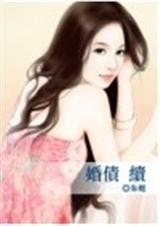 婚债续