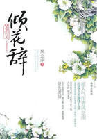 梦里云天之倾花辞