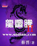 龙图腾ii