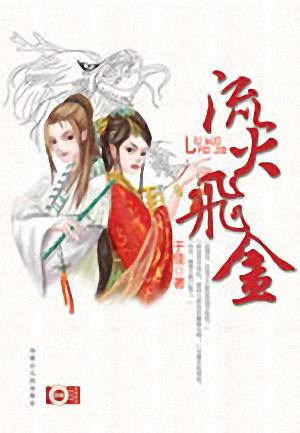 流火飞金(上)