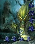 仙侣奇缘之魔兽世界