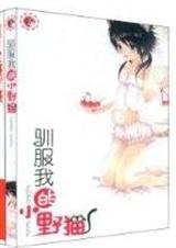 驯服我的小野猫