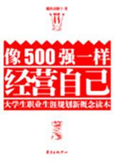 像500强一样经营自己