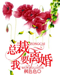 总裁,我要离婚！
