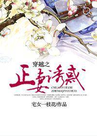 穿越之正妻诱惑