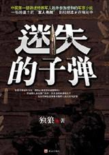 迷失的子弹
