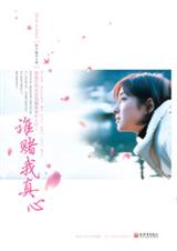 谁赌我真心
