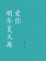 明年夏天再爱你