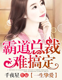 一生挚爱,霸道总裁难搞定