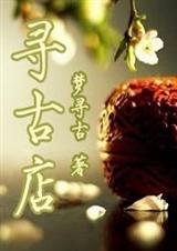 寻古店