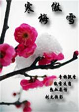 寒梅傲雪