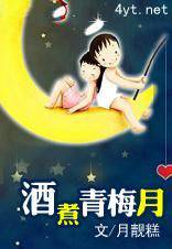 酒煮青梅月