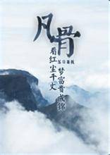 伪废柴修仙记凡骨